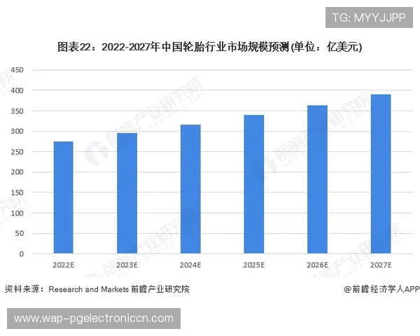 世界杯美国巴拉圭比赛前的专家预测与比赛走势分析报告